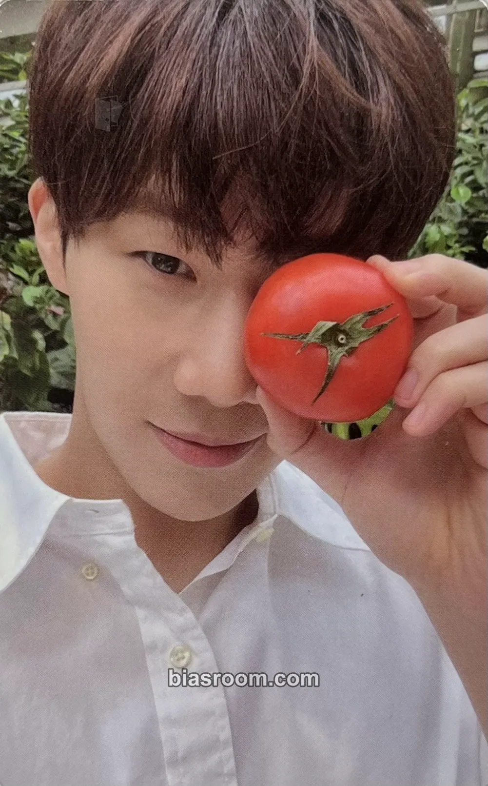 Sungkyu Saviour (Sungkyu Solo) Photocard - INFINITE - INFINITE K-pop photocard