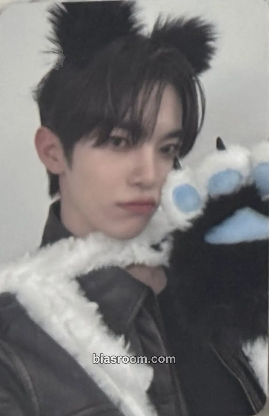 TUNEXX Photocard List & Collection Tracker | Bias Room