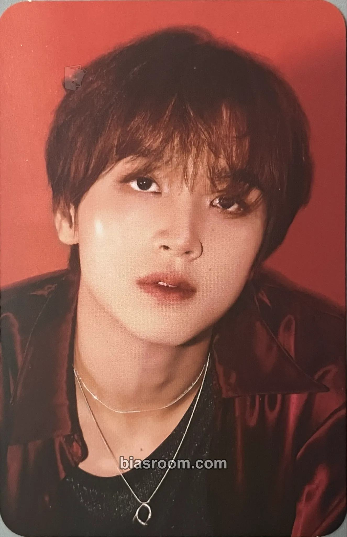 Haechan 2025 Season’s Greetings Photocard - NCT DREAM - NCT DREAM K-pop photocard