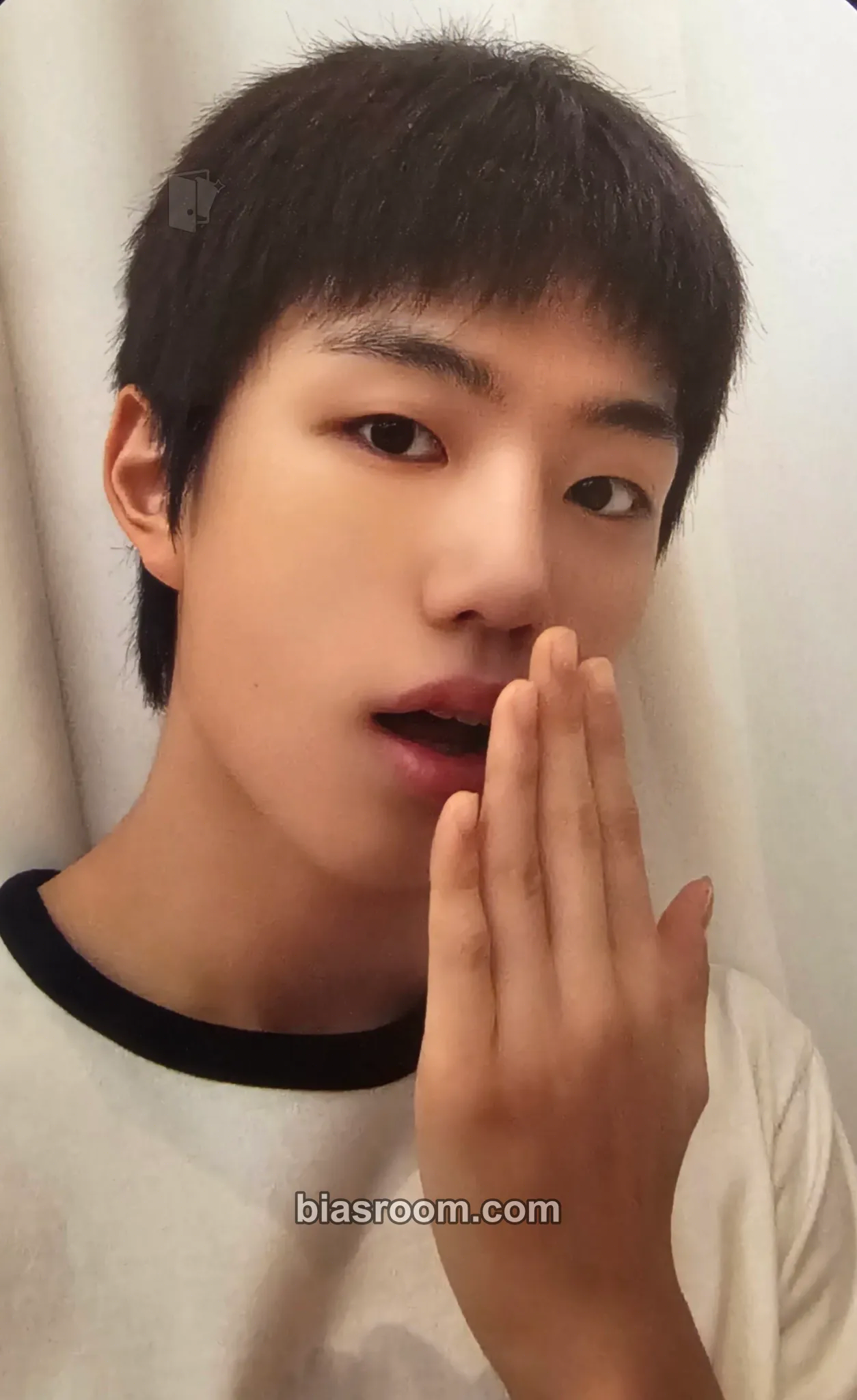 Park Jihoo LOVE ANECDOTE(S) Photocard - EVNNE - EVNNE K-pop photocard