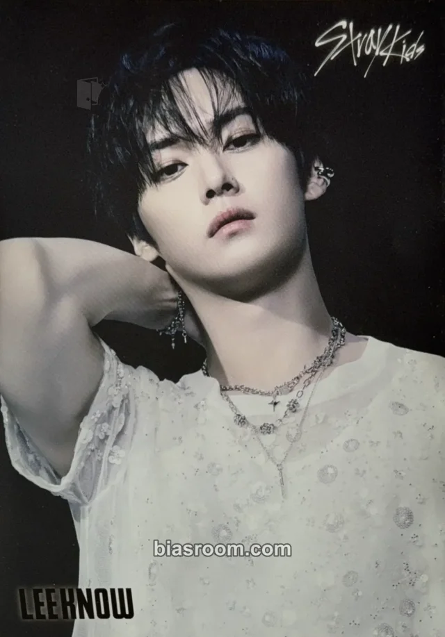 Stray Kids - Lee Know - GIANT Album flyer tower records japan