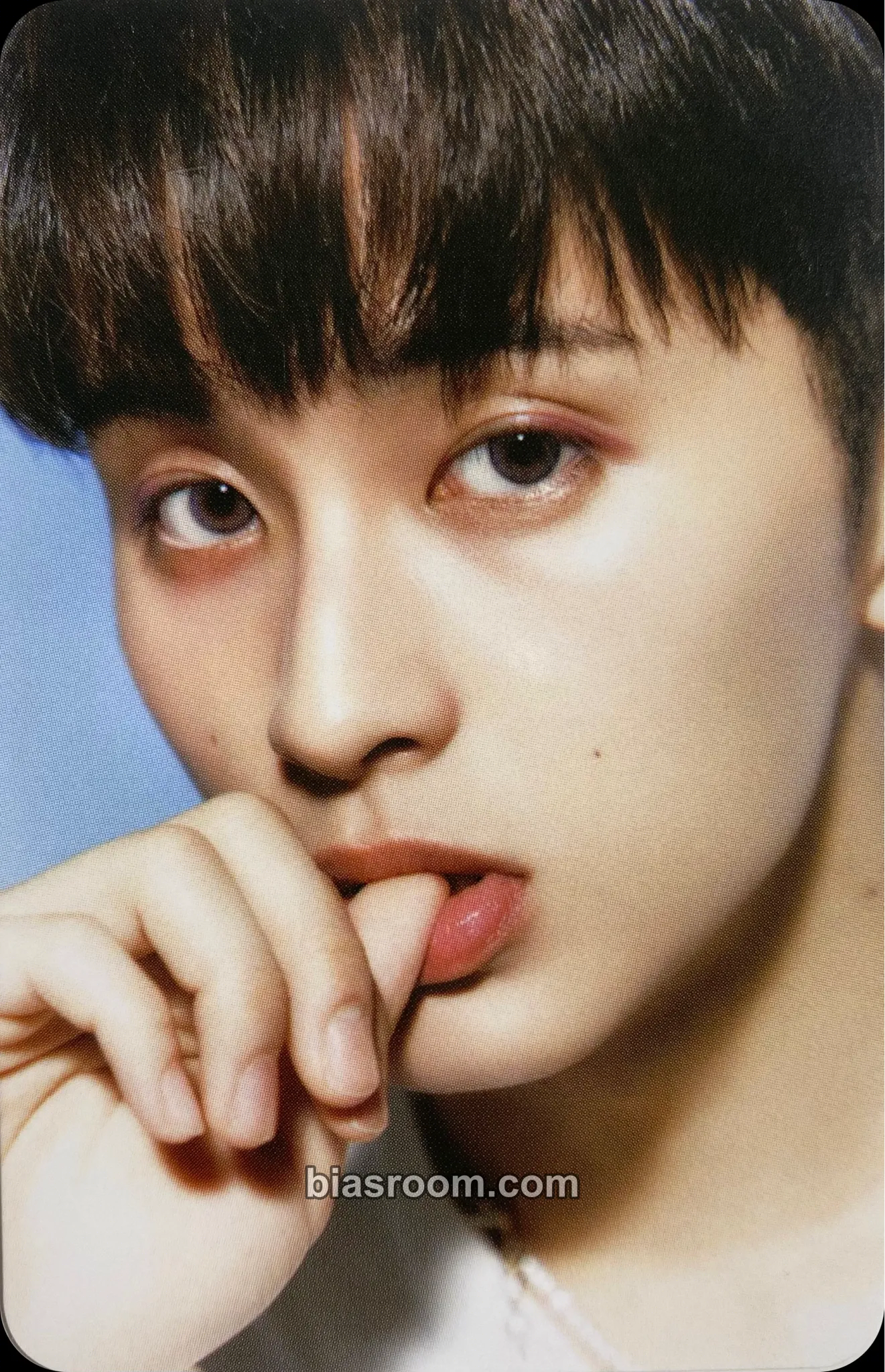 Mark 2024 Season’s Greetings Photocard - NCT DREAM - NCT DREAM K-pop photocard