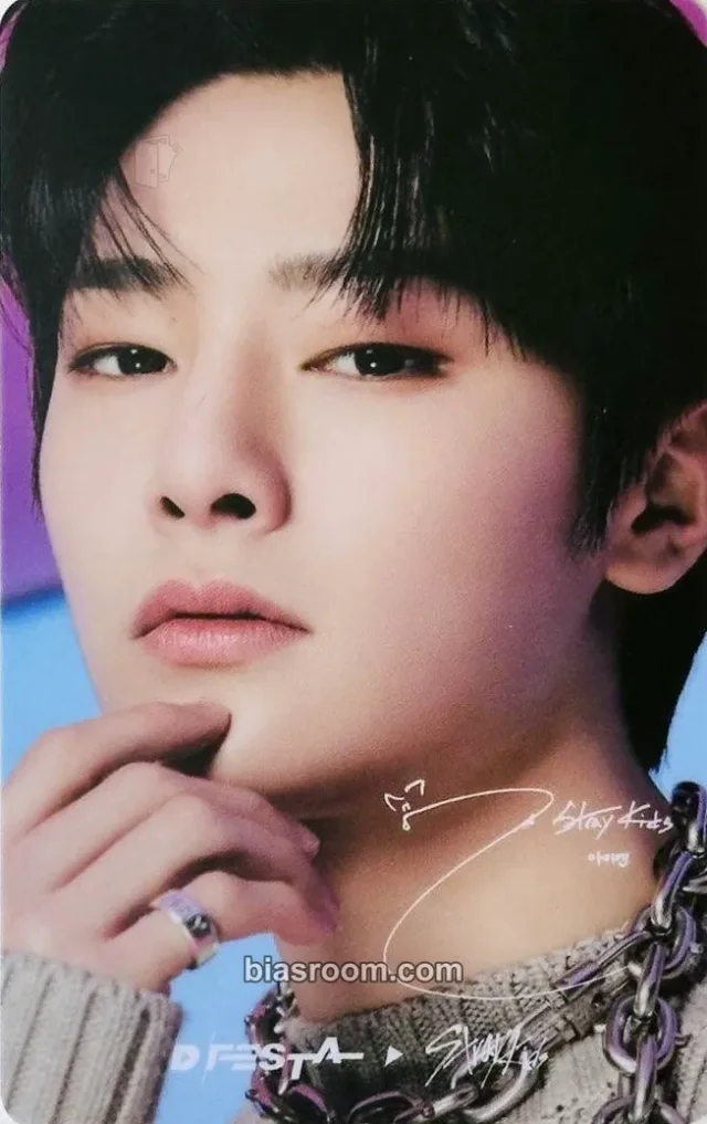 Stray Kids - I.N - D'FESTA 2022 Other entrance / attendance benefit pvc card