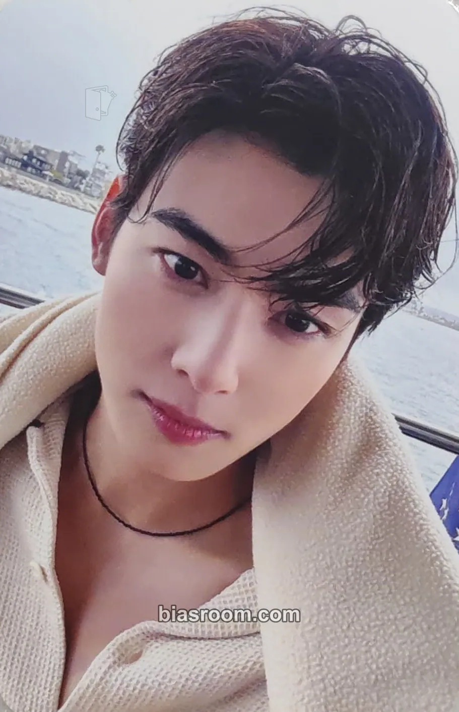 Cha Eun-woo Cha Eun-woo 2023 Photobook in LA Photocard - ASTRO - ASTRO K-pop photocard