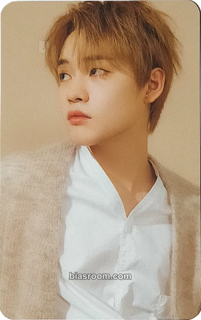 Chenle 2020 Season’s Greetings Photocard - NCT DREAM - NCT DREAM K-pop photocard