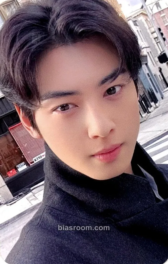Cha Eun-woo Entity (Cha Eun-woo Solo) Photocard - ASTRO - ASTRO K-pop photocard