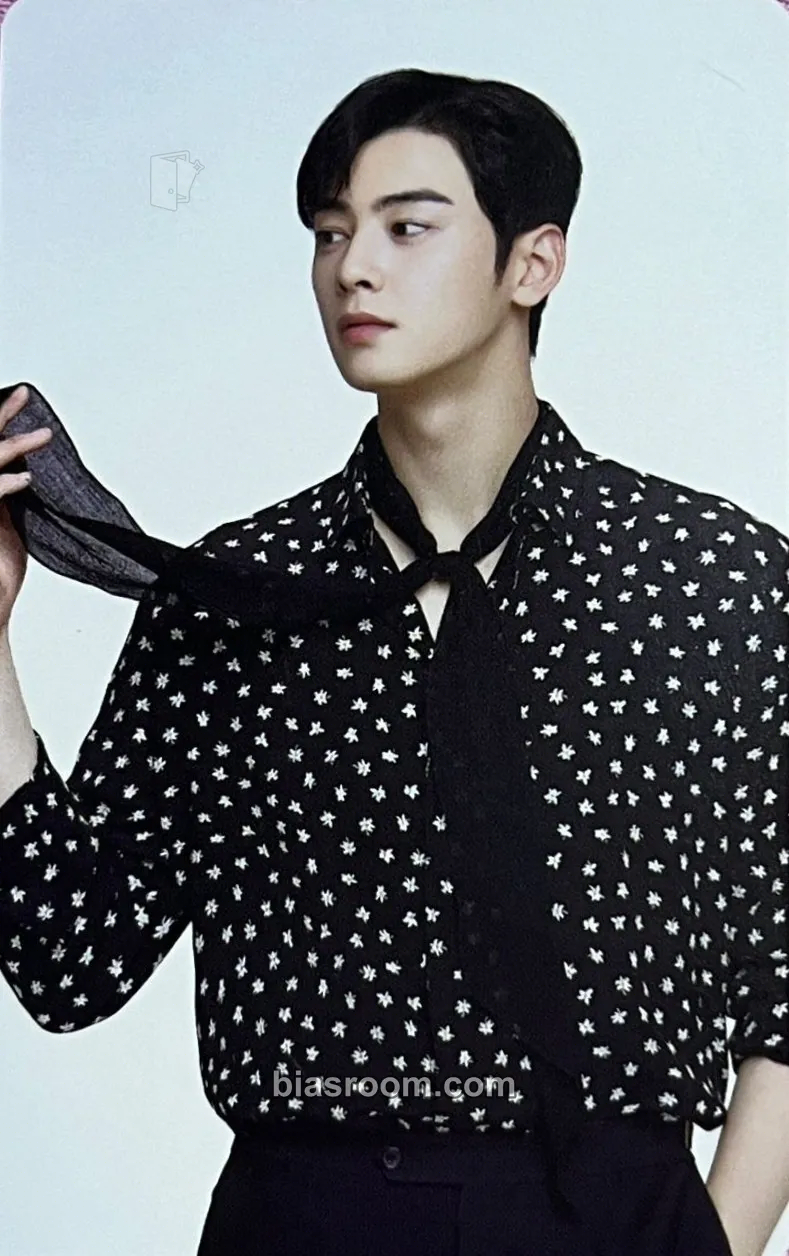 Cha Eun-woo Cha Eun-woo x Noona Holdak Photocard - ASTRO - ASTRO K-pop photocard