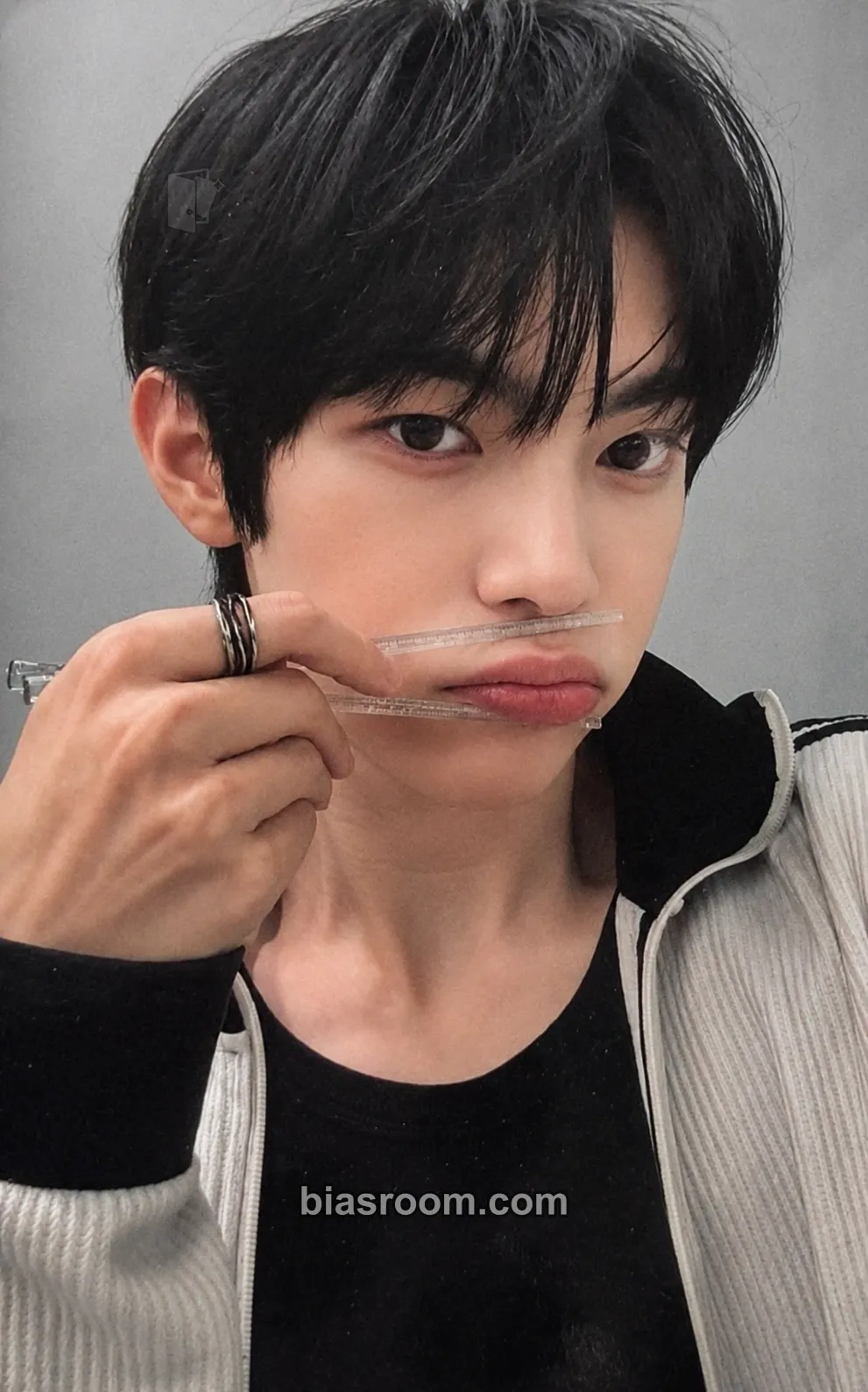 TUNEXX Photocard List & Collection Tracker | Bias Room