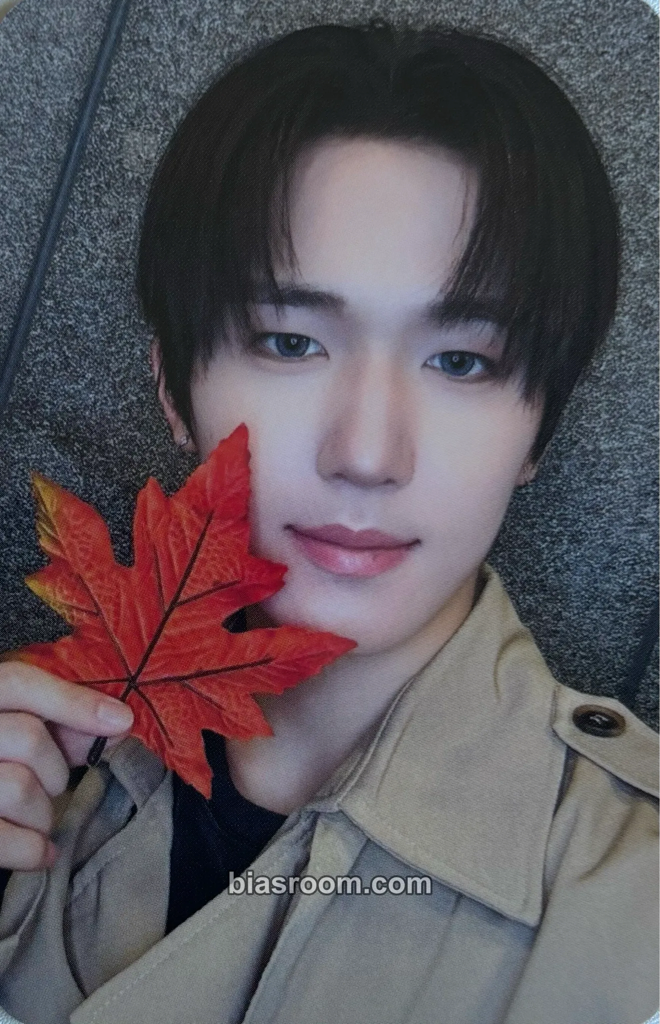 Gihyeon n: number of cases Photocard - NouerA - NouerA K-pop photocard