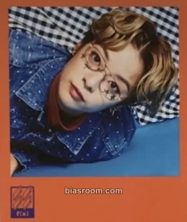 f(x) - Amber - 4 Walls Album polaroid set