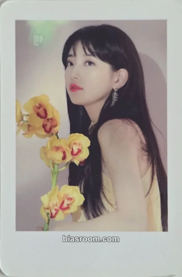 Suzy - Suzy - 2018 Asia Fanmeeting Tour [WITH] Event polaroid set