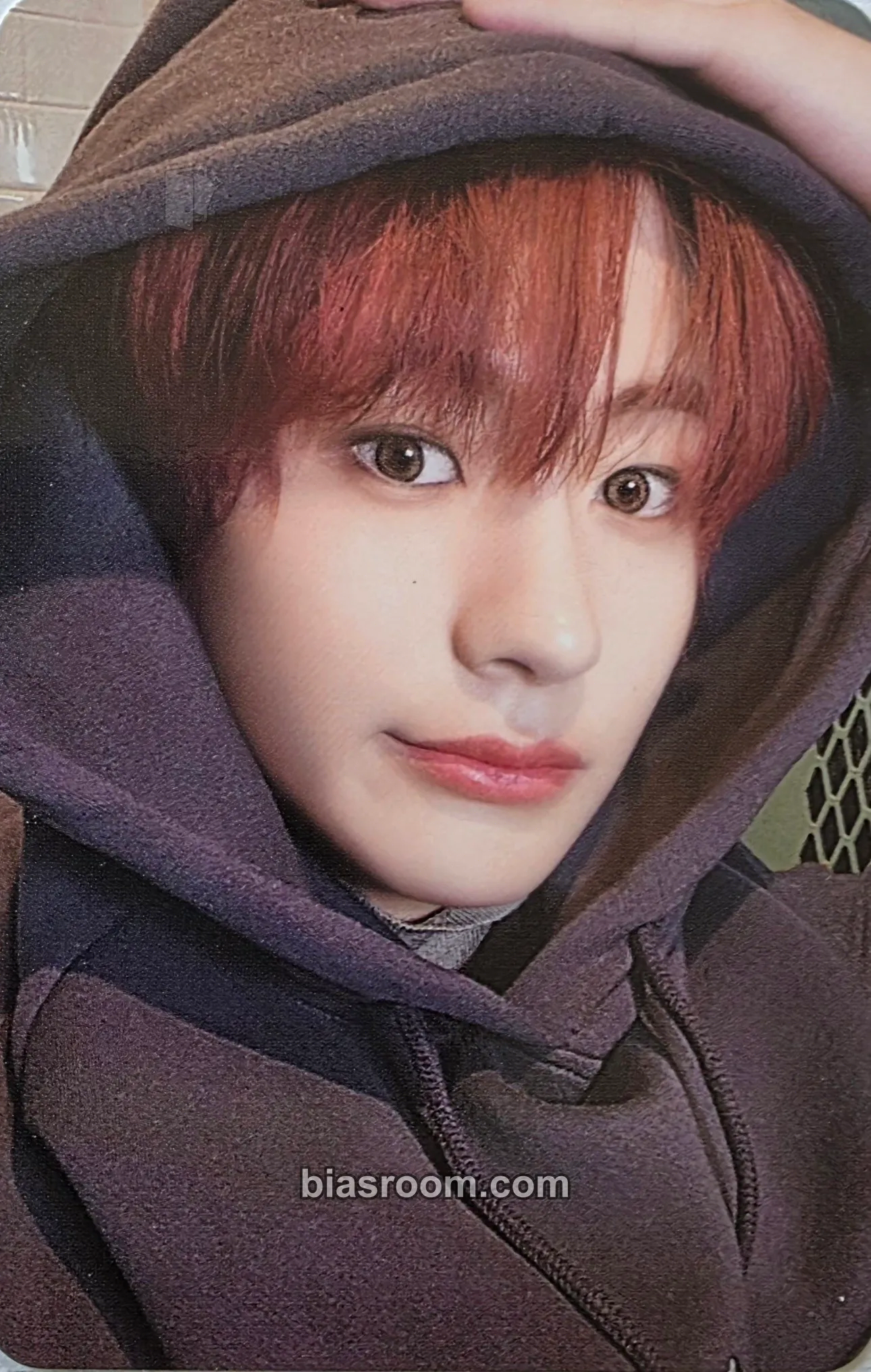 Anton RIIZE UP Pop-up Photocard - RIIZE - RIIZE K-pop photocard