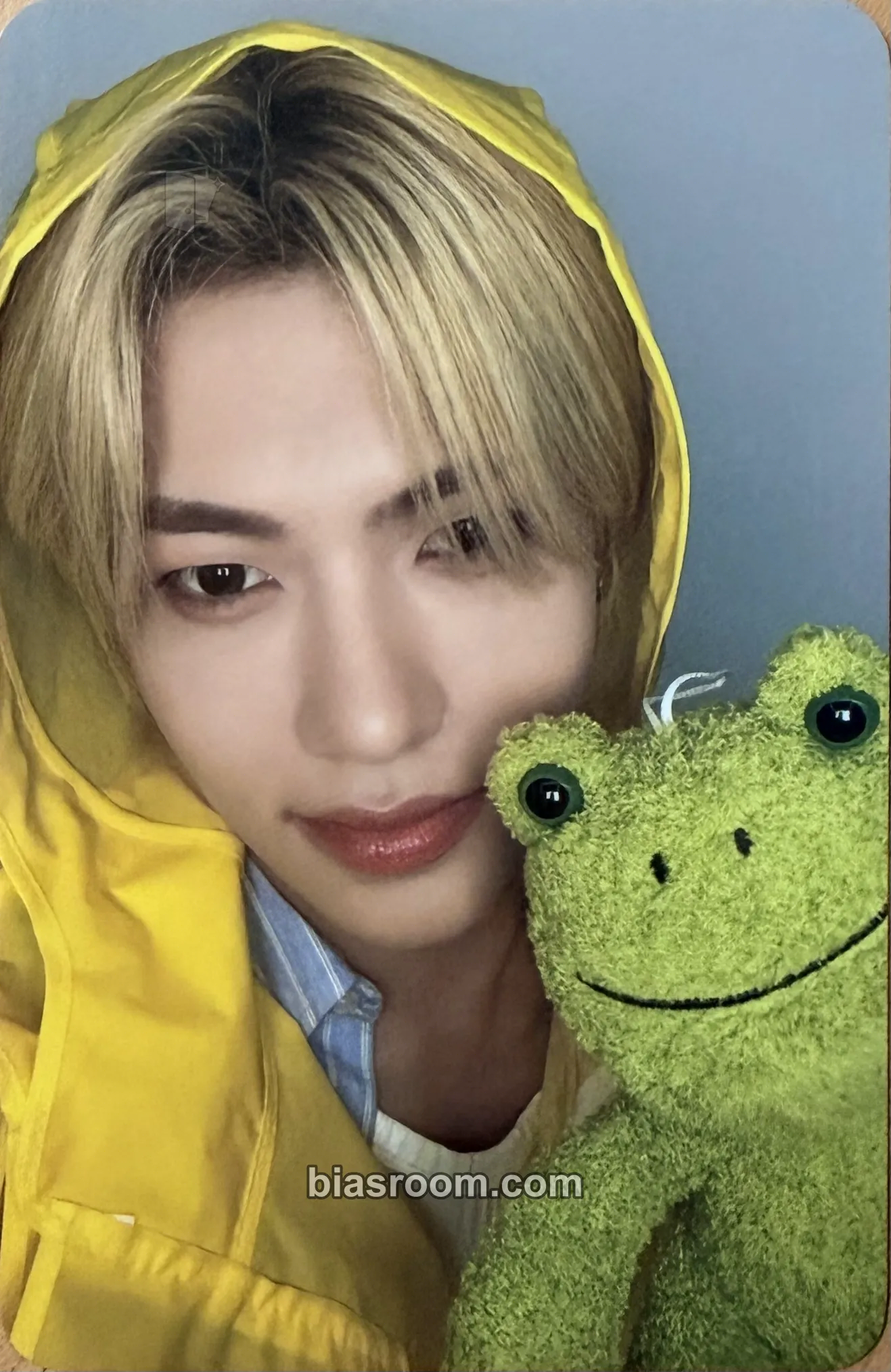 Yuseop n: number of cases Photocard - NouerA - NouerA K-pop photocard