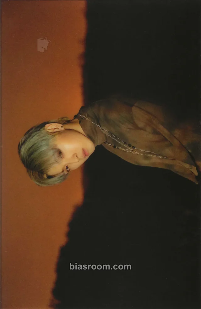 OnlyOneOf - Jisung (ex. Love) - line sun goodness Album album inclusion postcard transparent