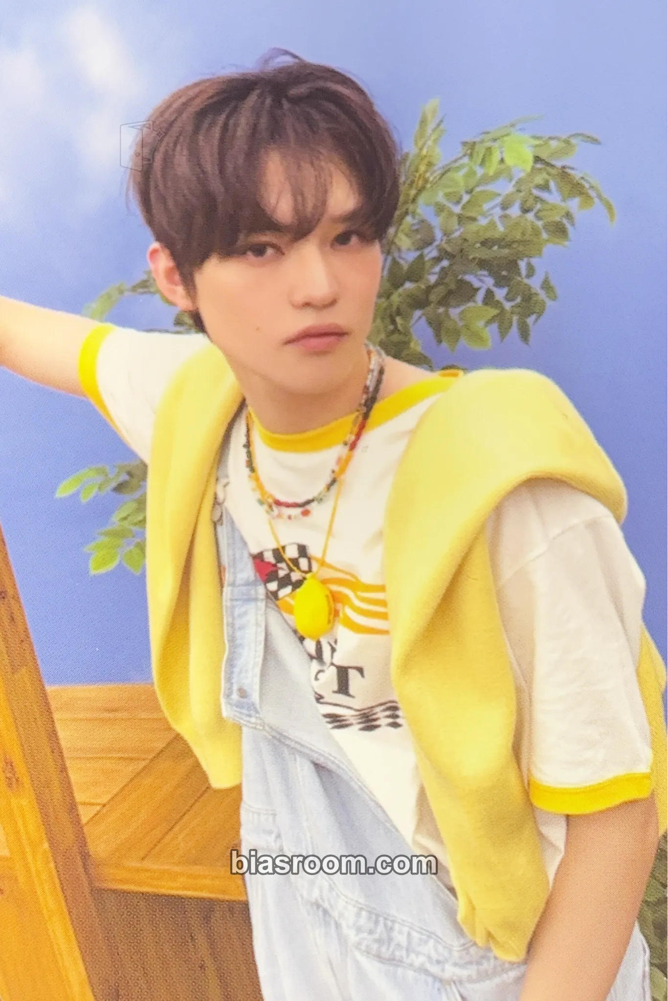 Chenle 2026 Season’s Greetings Photocard - NCT DREAM - NCT DREAM K-pop photocard