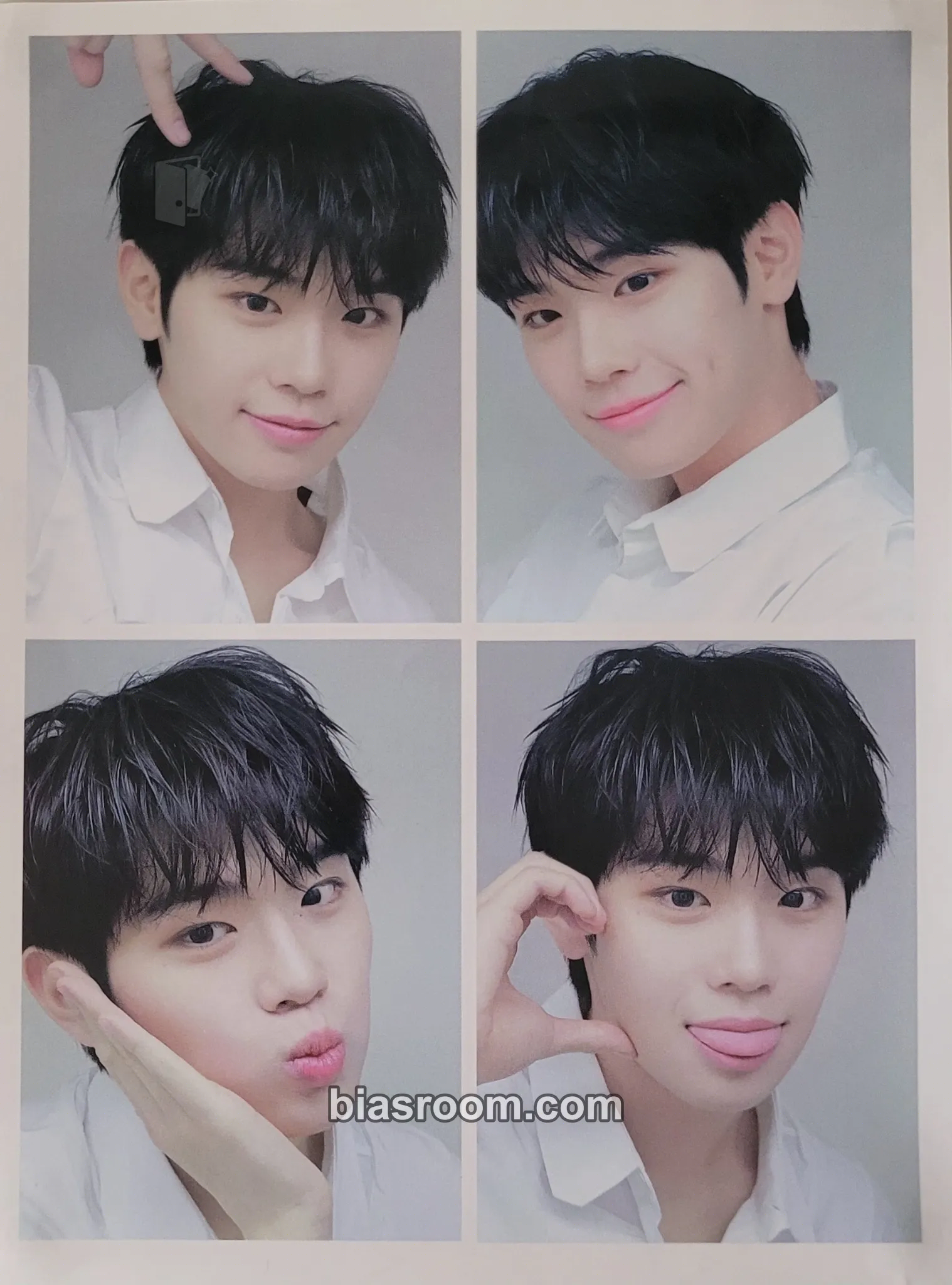 Taerae You Had Me at Hello Photocard - ZEROBASEONE - ZEROBASEONE K-pop photocard