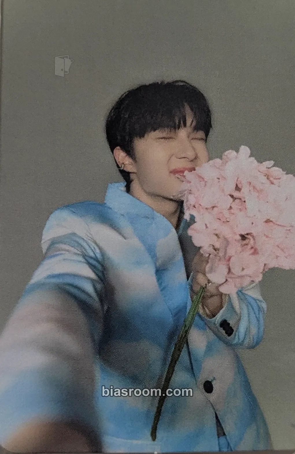 NuNew หมอนอิง (Anything) Photocard - NuNew K-pop photocard