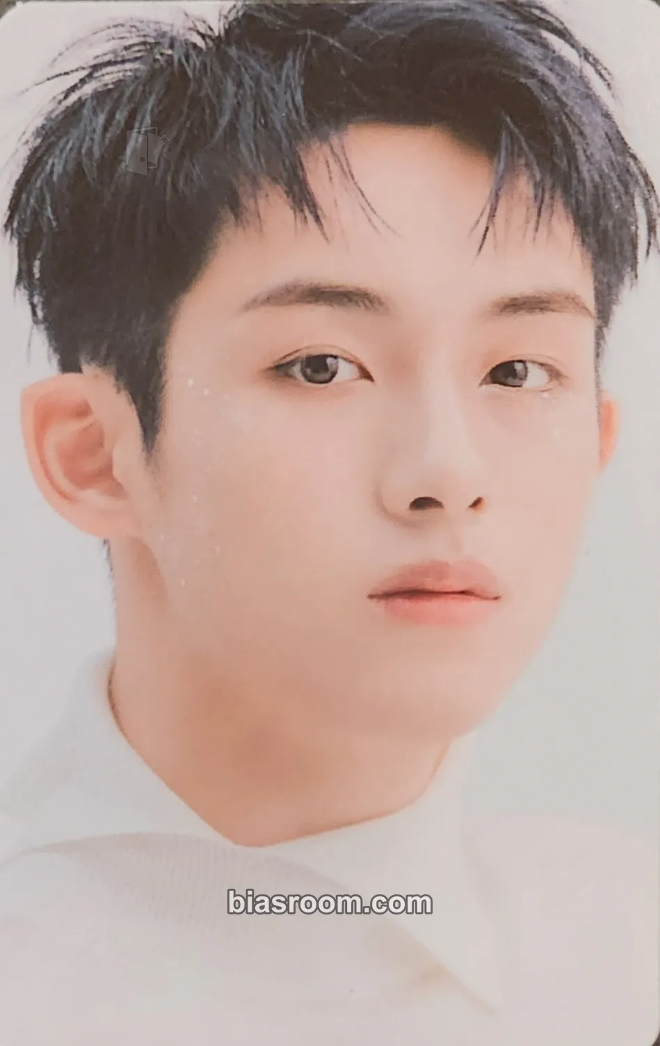 Winwin 2021 Season's Greetings Photocard - WayV - WayV K-pop photocard
