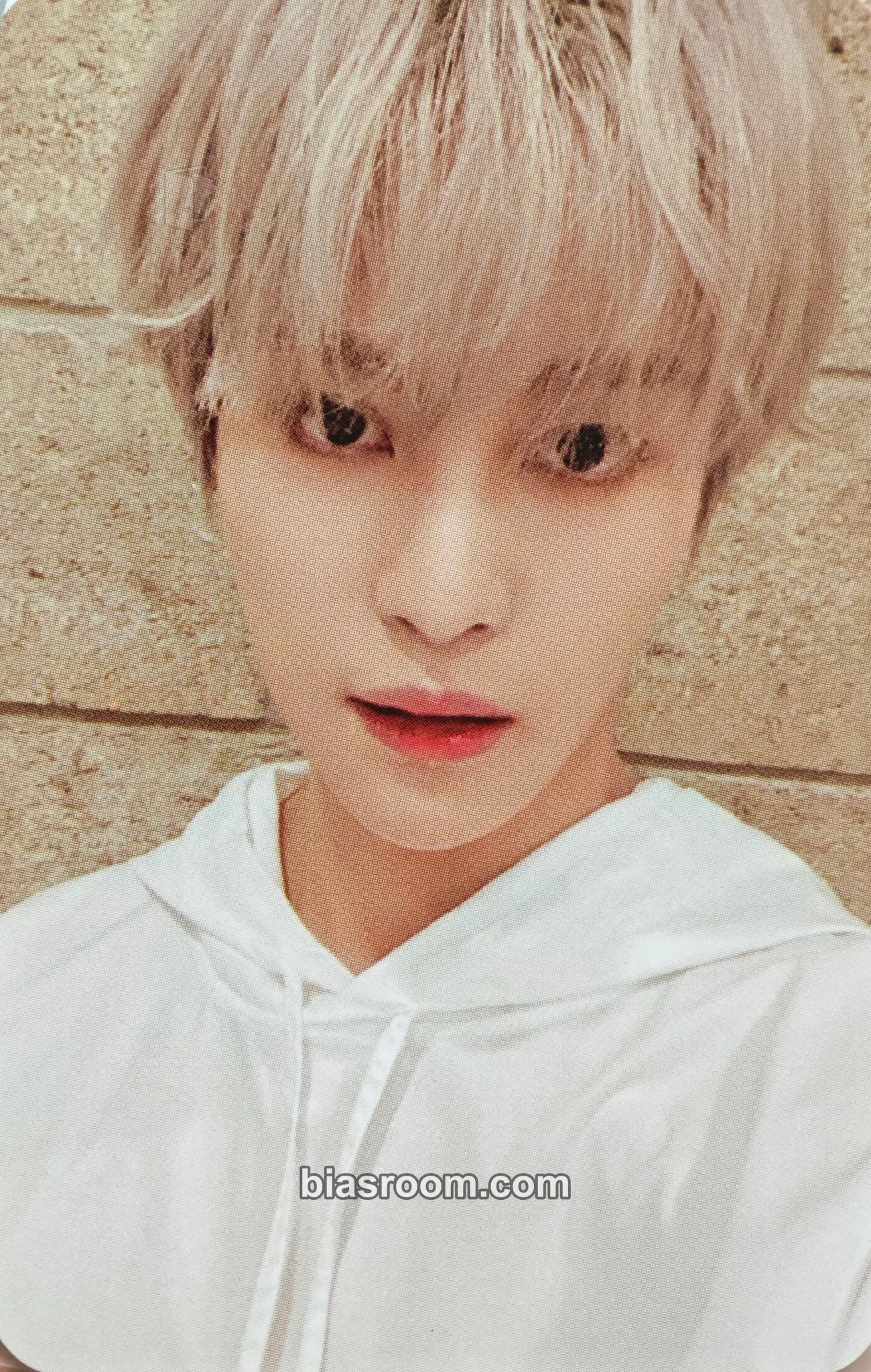 Yangyang 2021 Season's Greetings Photocard - WayV - WayV K-pop photocard