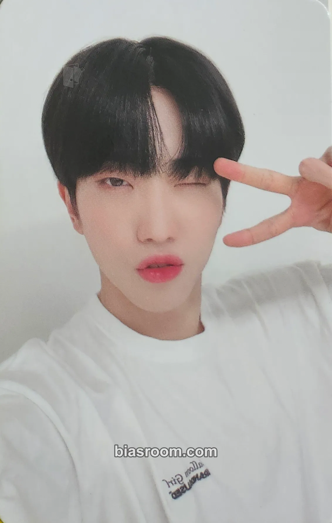 Dann History of Kingdom : PartⅣ. Dann Photocard - The KingDom - The KingDom K-pop photocard