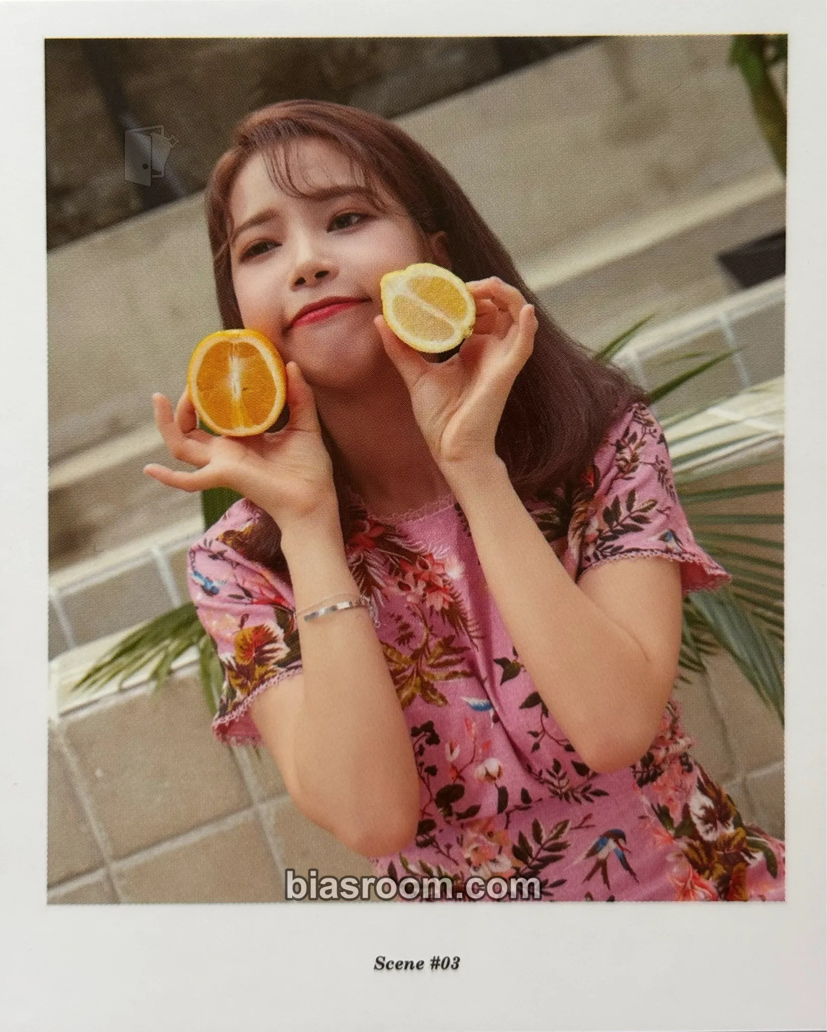Solar 2018 Season's Greetings Photocard - MAMAMOO - MAMAMOO K-pop photocard