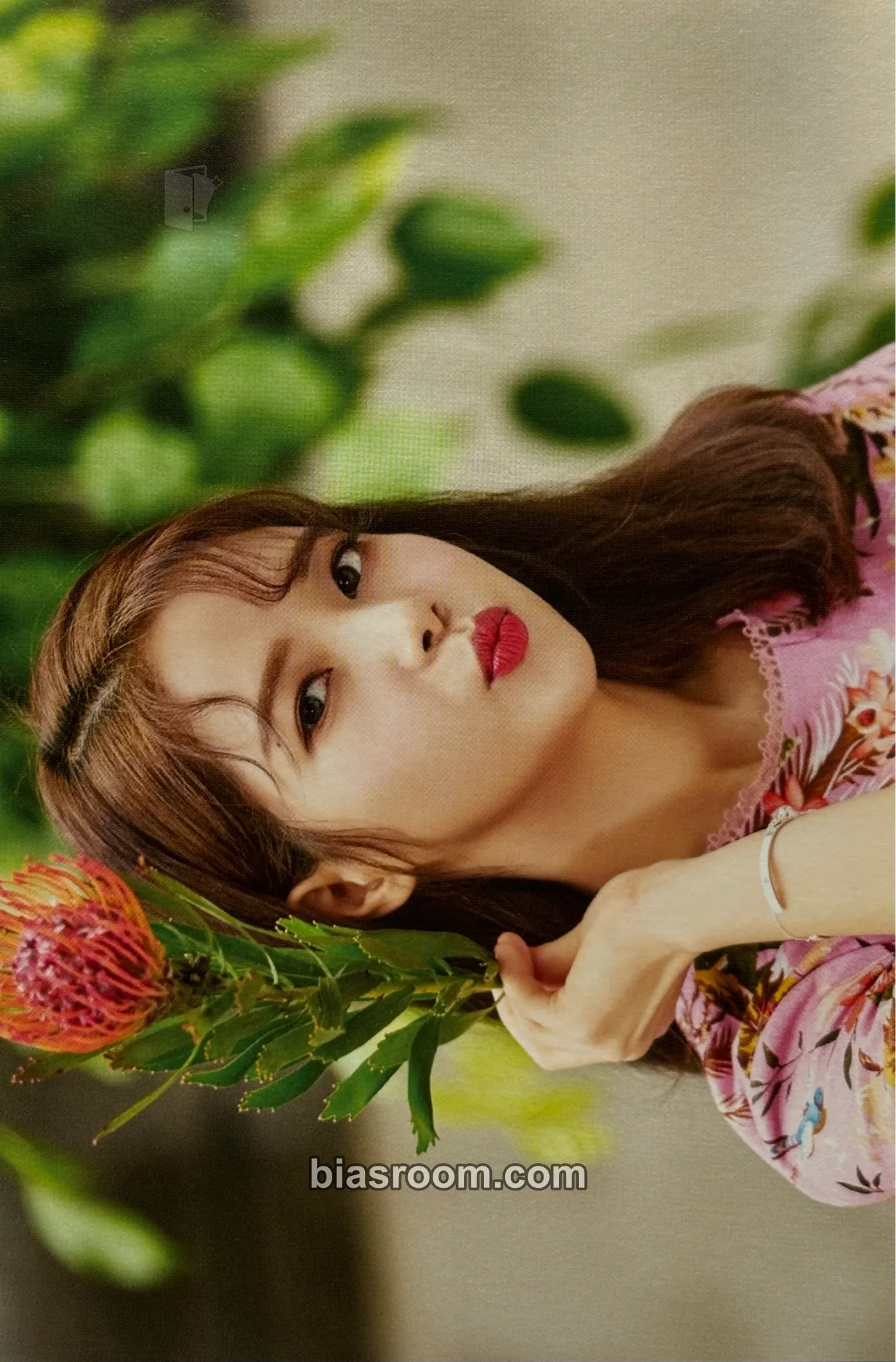 Solar 2018 Season's Greetings Photocard - MAMAMOO - MAMAMOO K-pop photocard