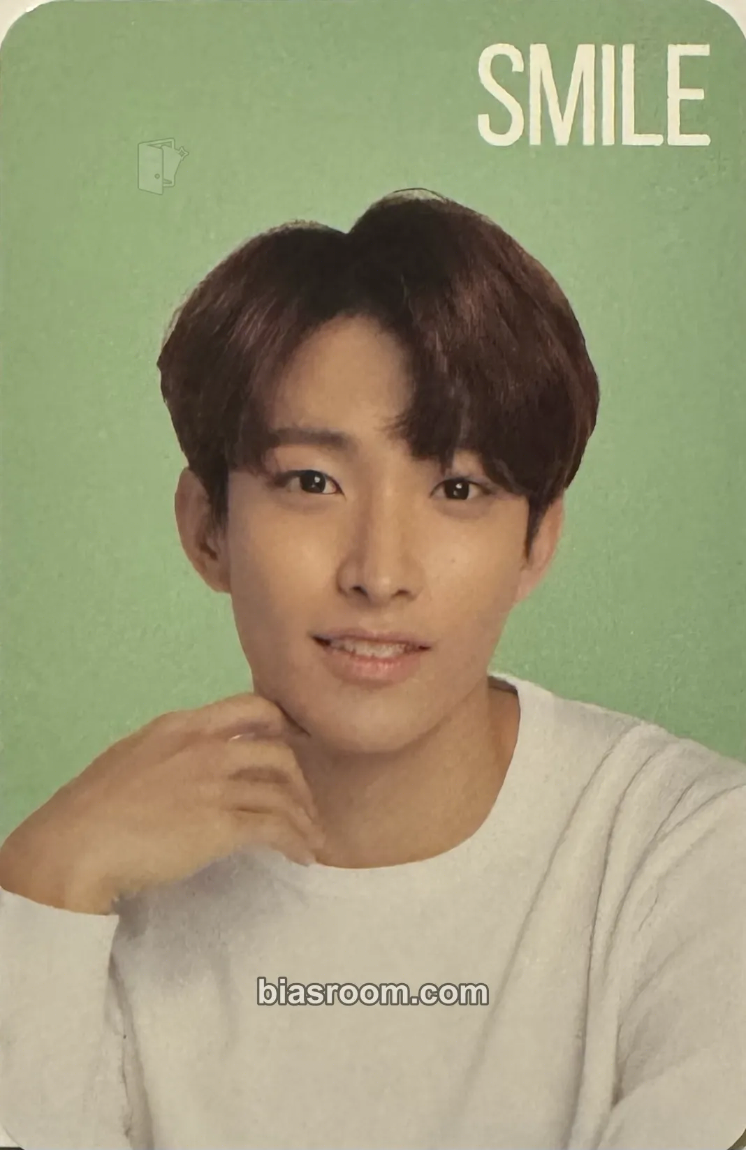 DK THE SAEM x SEVENTEEN Brand Collaboration Photocard - SEVENTEEN - SEVENTEEN K-pop photocard