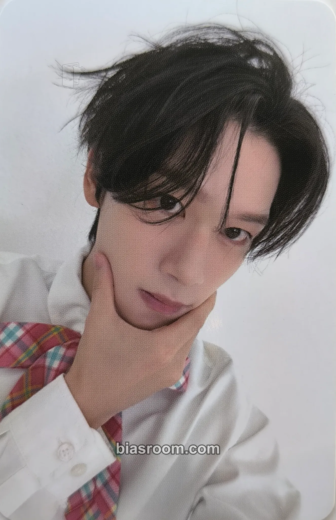 Steve YOUNITE MINI FAN-CON 'LOVE TYPE : YOUNITE to YOUNIZ' Photocard - Younite - Younite K-pop photocard