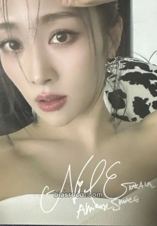 Nicole KARASIA 5th Japan Tour Photocard - KARA - KARA K-pop photocard