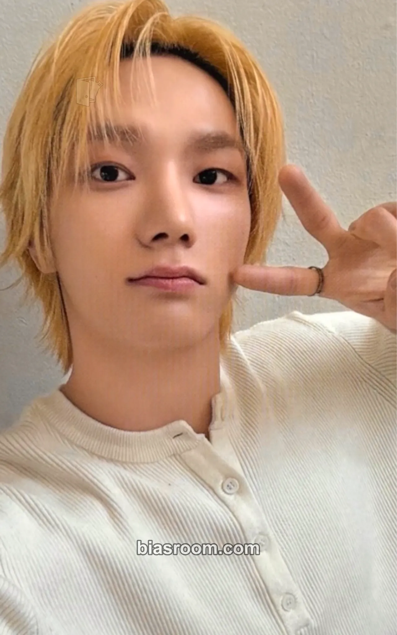Sungho HOME Photocard - BOYNEXTDOOR - BOYNEXTDOOR K-pop photocard