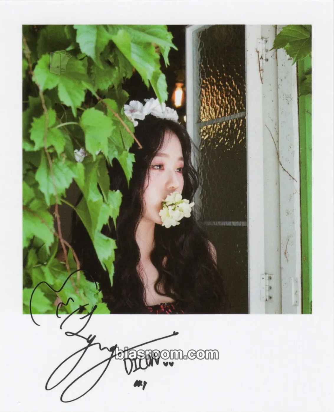 Wonyoung DICON VOLUME 8 “LOOK AT MY iZ” Photocard - IZ*ONE - IZ*ONE K-pop photocard