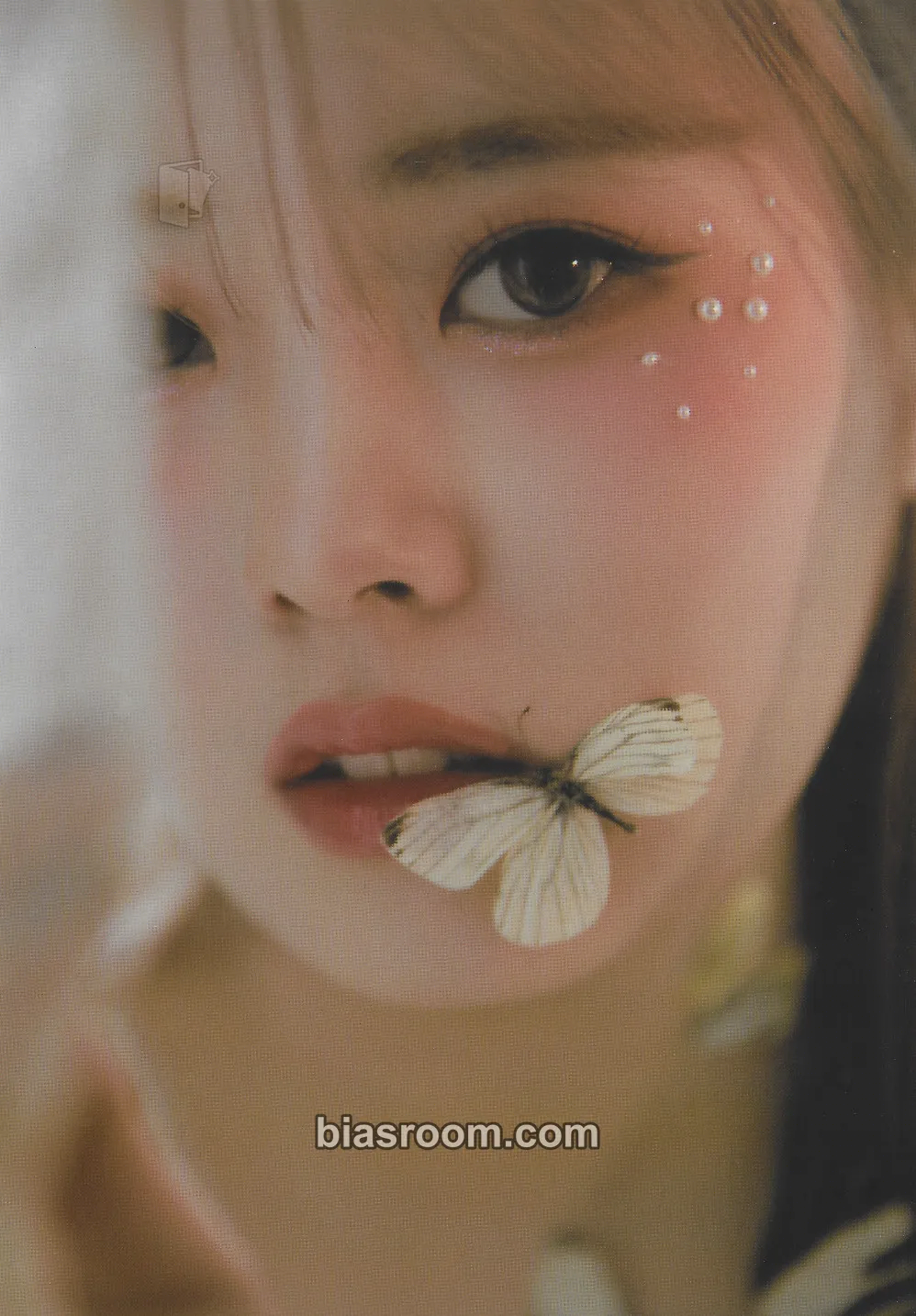 Satbyeol Fairy Forest: Bravery Photocard - PIXY - PIXY K-pop photocard