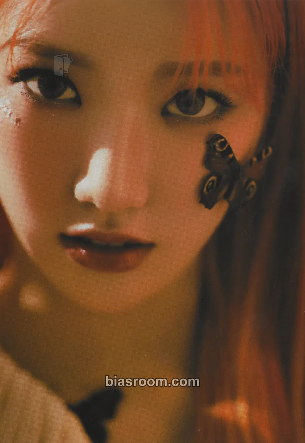 Sua Fairy Forest: Bravery Photocard - PIXY - PIXY K-pop photocard