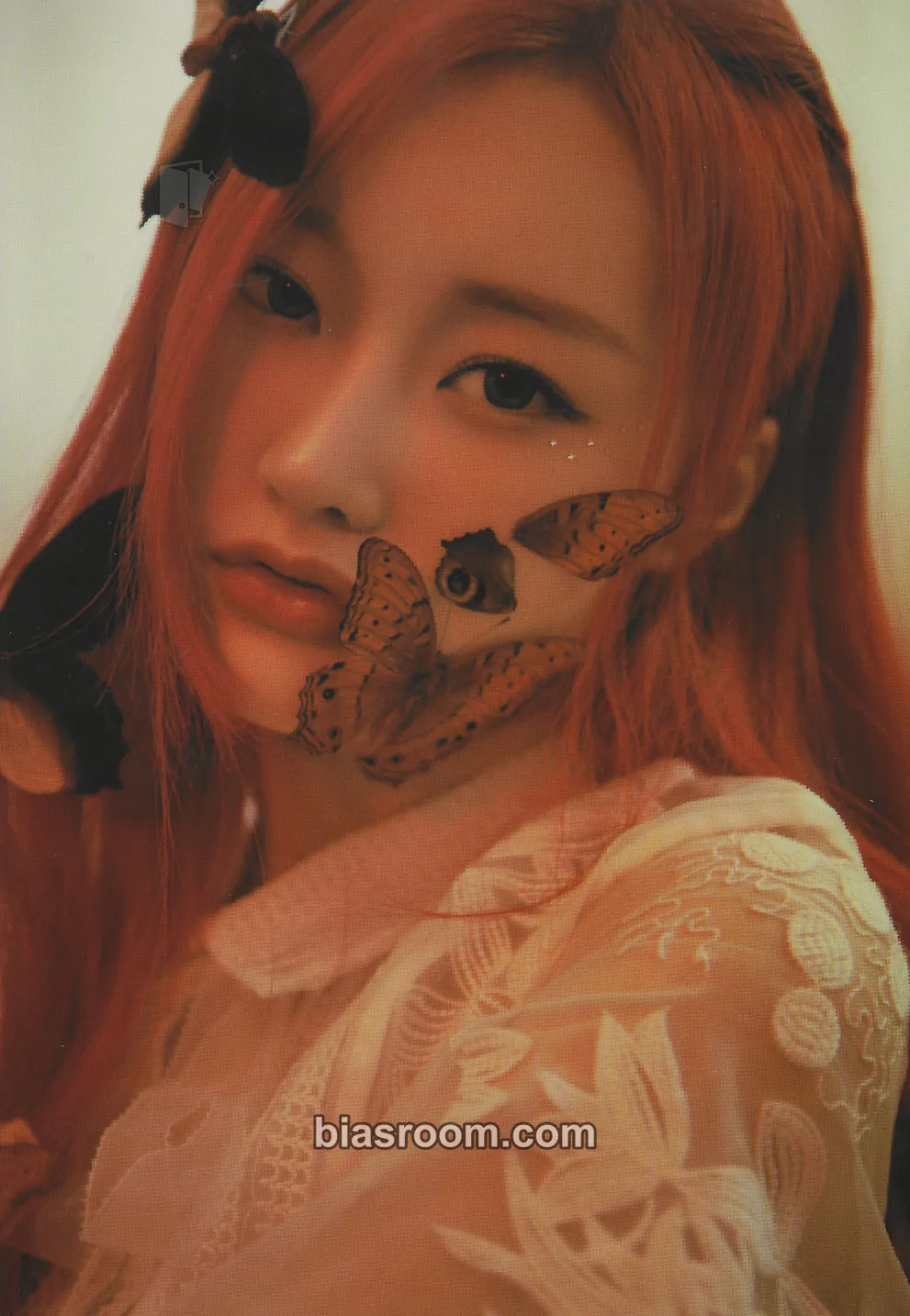 U_Chae (Dajeong) Fairy Forest: Bravery Photocard - PIXY - PIXY K-pop photocard