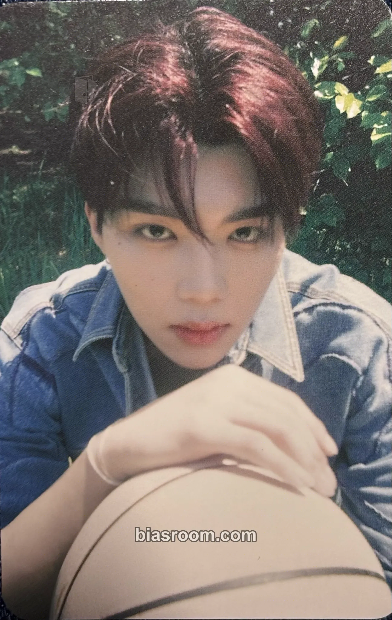 Gunwook Never Say Never Photocard - ZEROBASEONE - ZEROBASEONE K-pop photocard