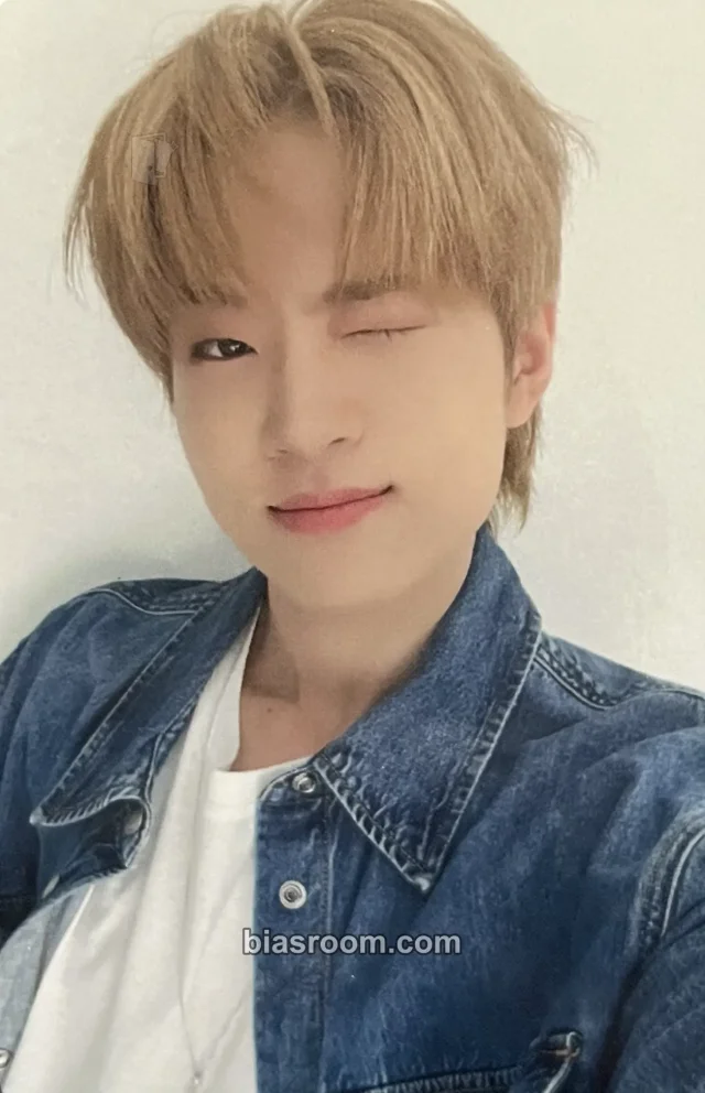 CATCH THE YOUNG - Sani - Dream It Album album photocard