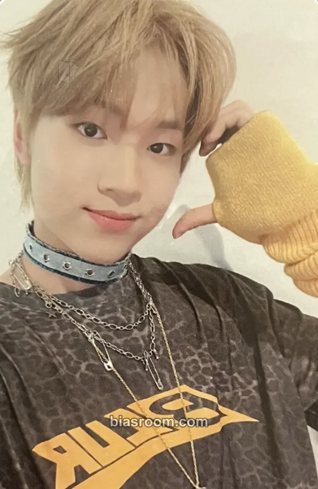 CATCH THE YOUNG - Sani - Dream It Album album photocard