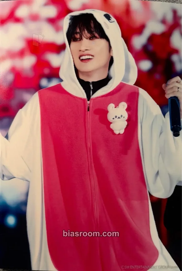 SUPER JUNIOR - Eunhyuk - SUPER SHOW 10 Event japan photo print random photo 7-eleven