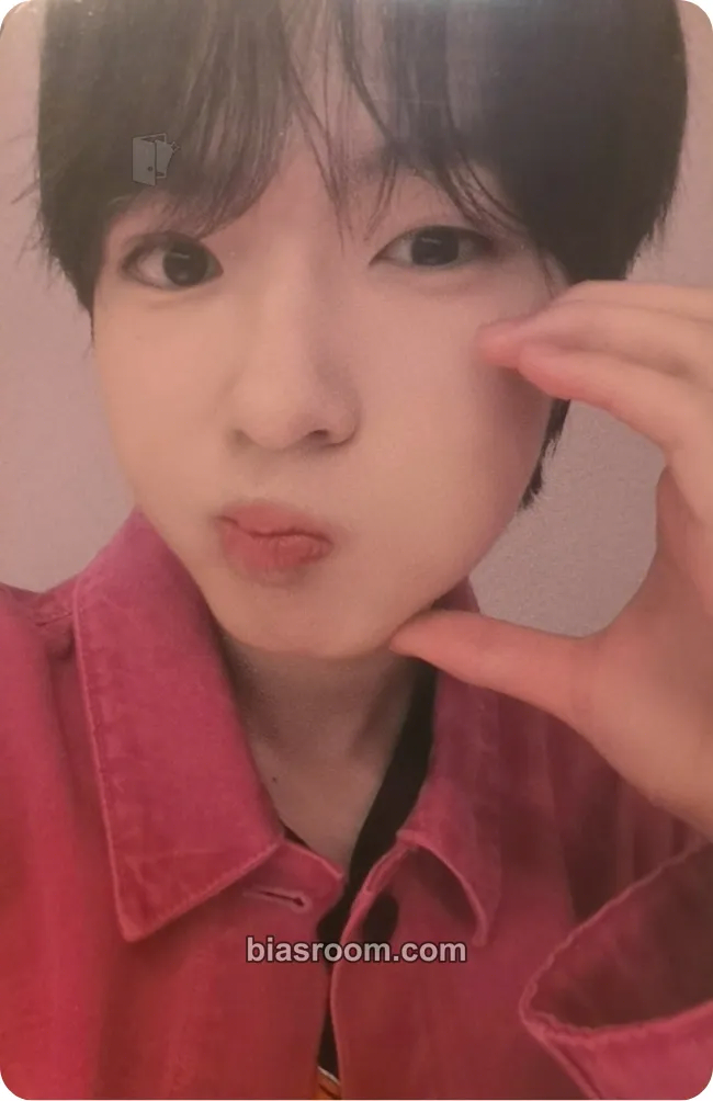 Sakuya Steady Photocard - NCT WISH - NCT WISH K-pop photocard