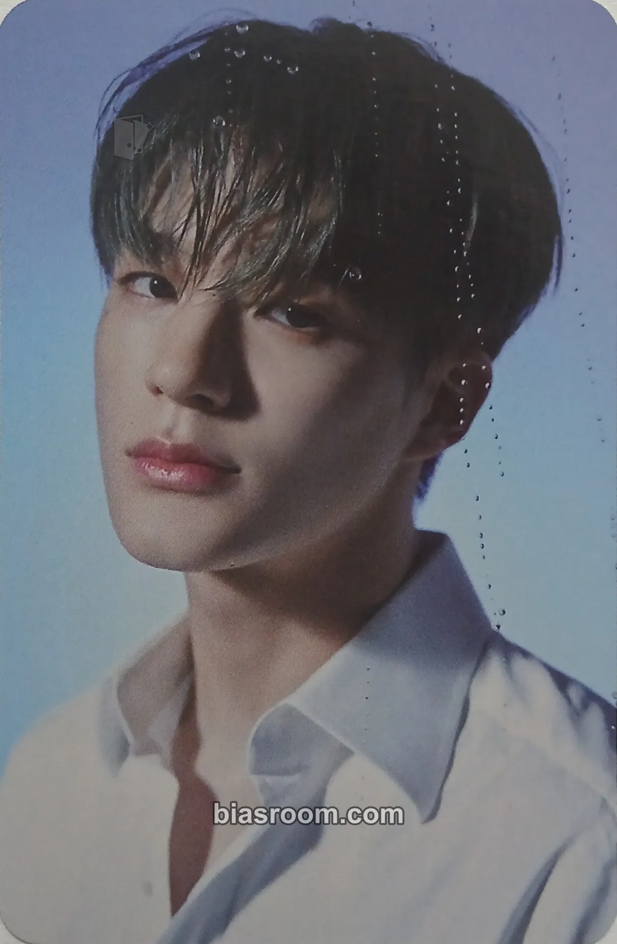 Jeno Starry Daydream Photocard - NCT DREAM - NCT DREAM K-pop photocard