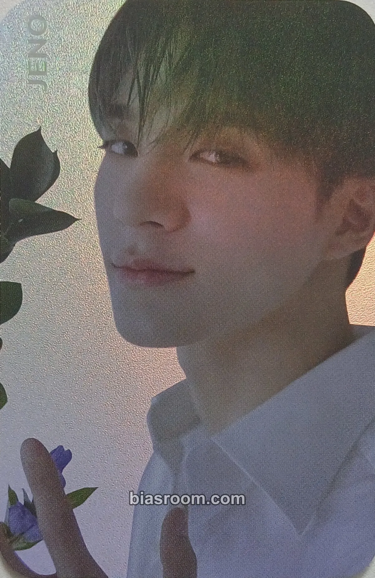 Jeno Starry Daydream Photocard - NCT DREAM - NCT DREAM K-pop photocard