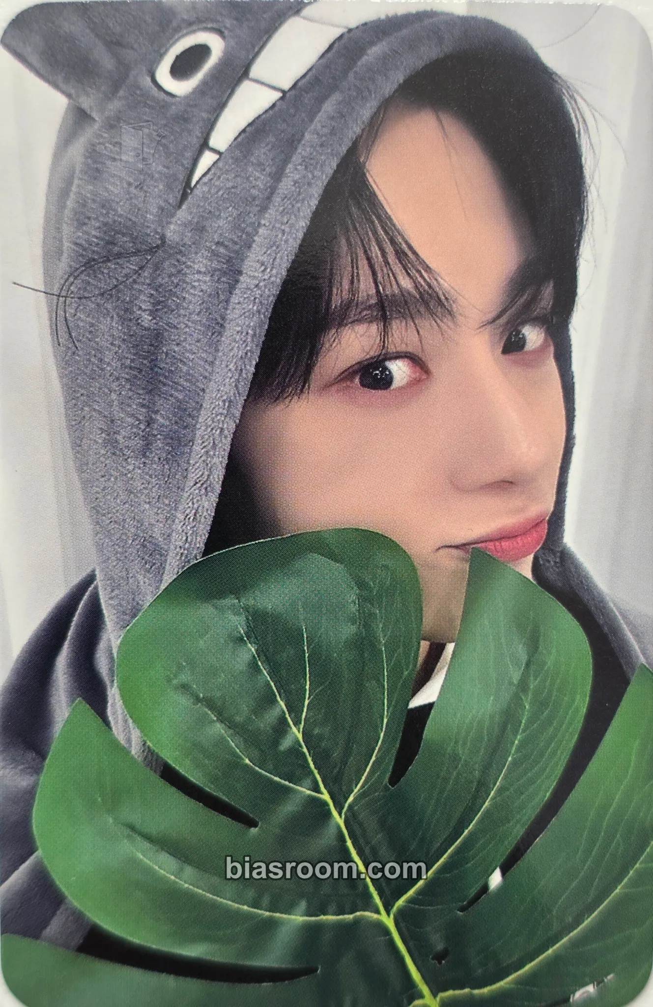 Hwanwoong La Dolce Vita Photocard - ONEUS - ONEUS K-pop photocard