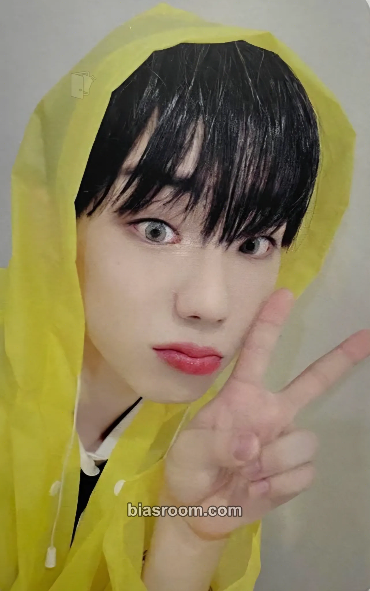 Wonjun EVERLASTING Photocard - E’LAST - E’LAST K-pop photocard