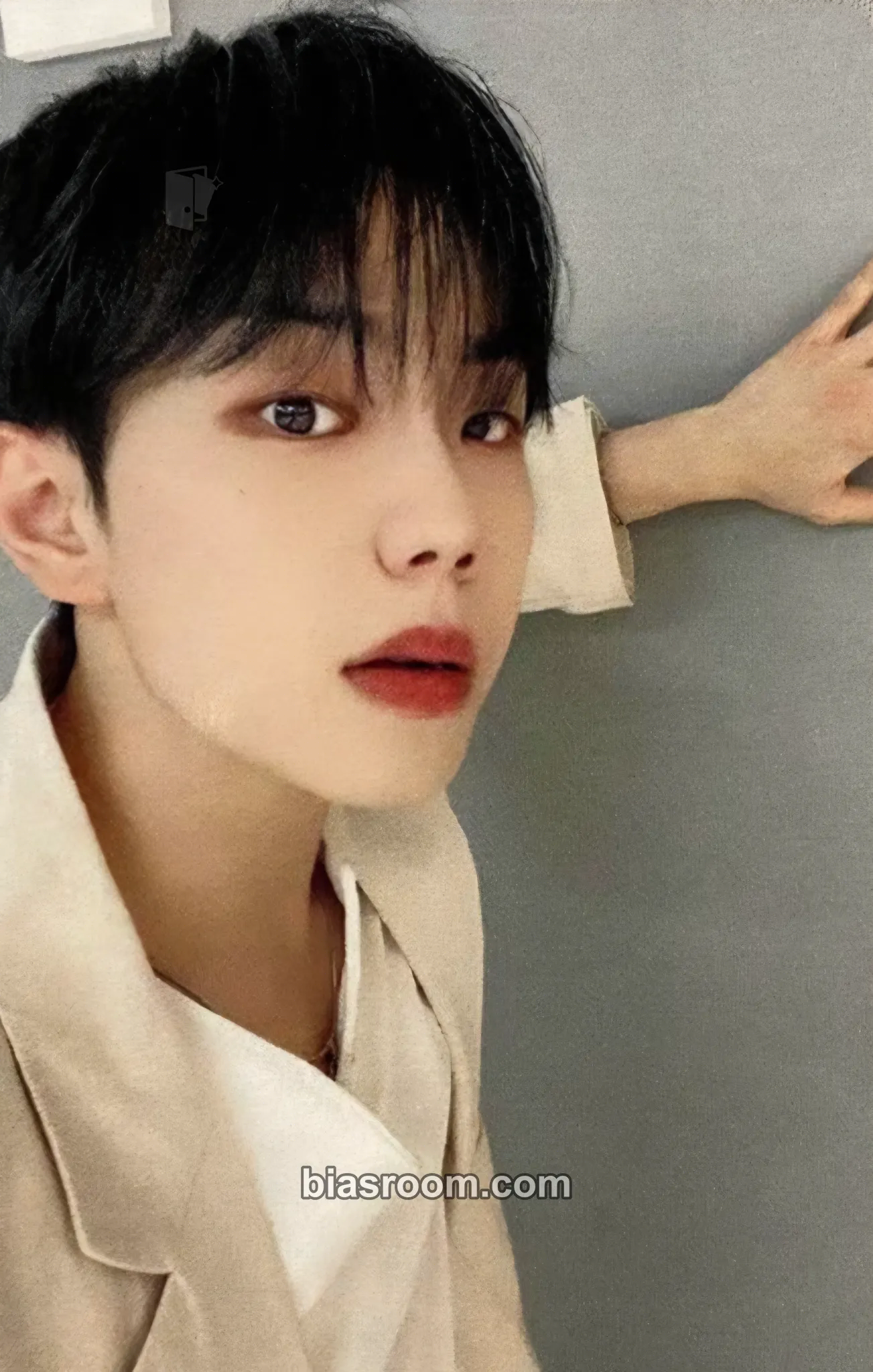 Wonjun EVERLASTING Photocard - E’LAST - E’LAST K-pop photocard