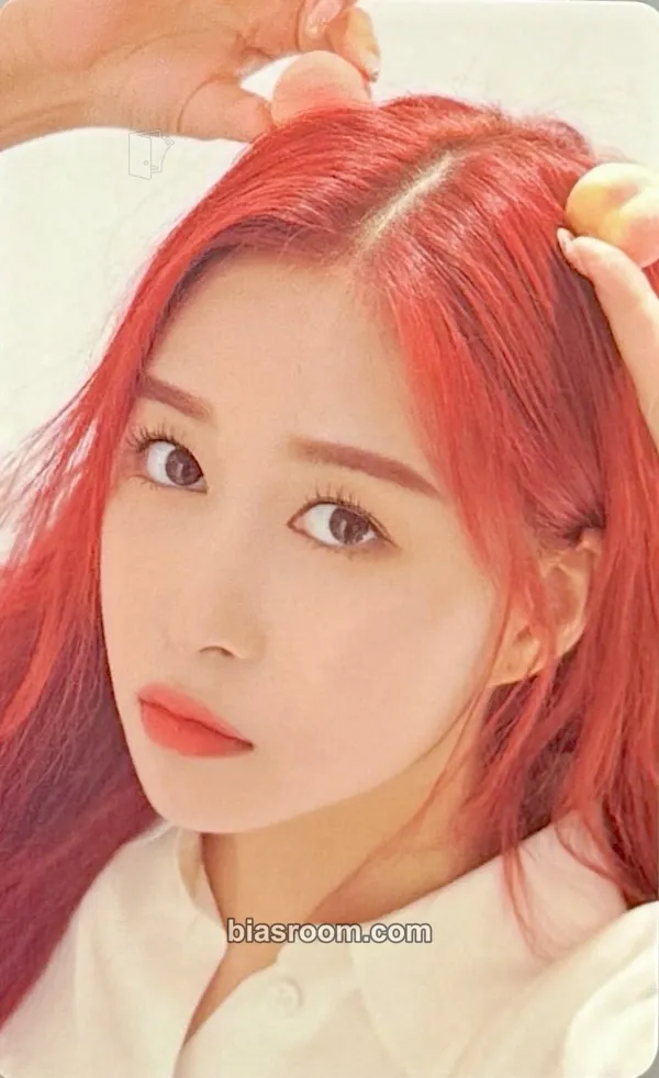 Dayoung WJSN 2019 Season's Greetings Photocard - WJSN - WJSN K-pop photocard