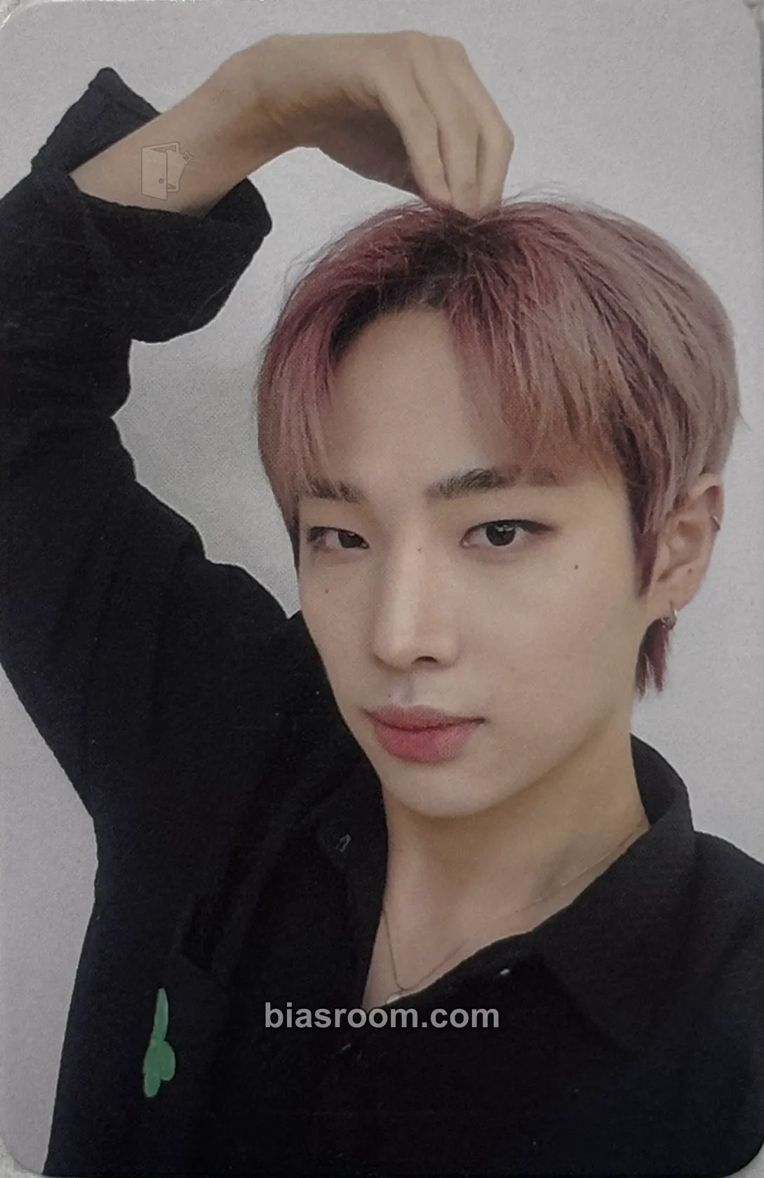 Muzin NEW CHAPTER : LUCEAT Photocard - BAE173 - BAE173 K-pop photocard
