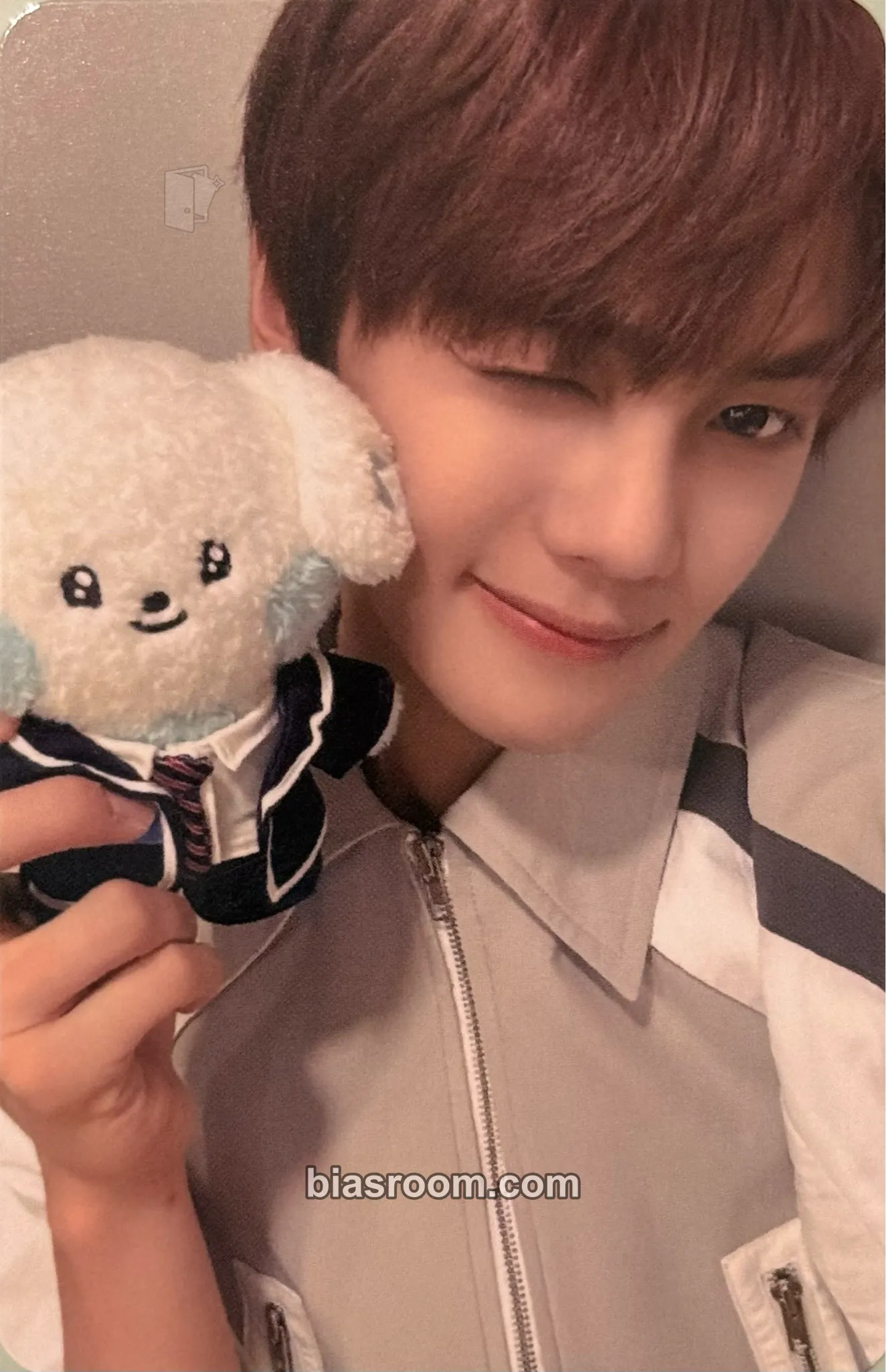 Gyuvin ZB1 x LINE FRIENDS Photocard - ZEROBASEONE - ZEROBASEONE K-pop photocard