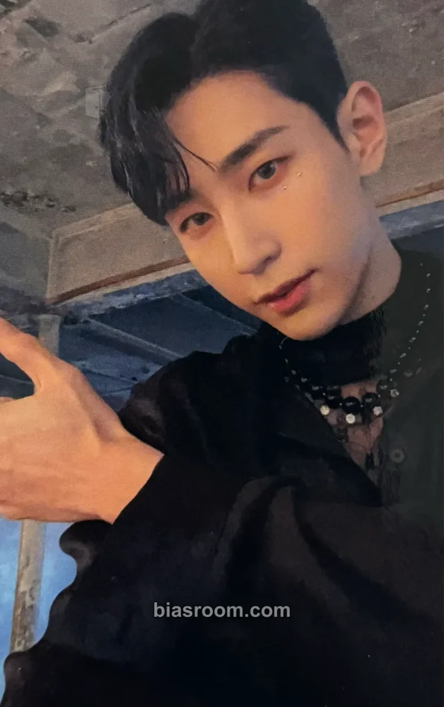 VAV - Lou - Subcönscióus Album photocard set