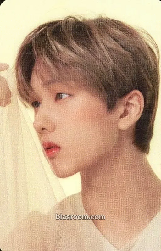 Jisung CANDYLAB X NCT DREAM Photocard - NCT DREAM - NCT DREAM K-pop photocard