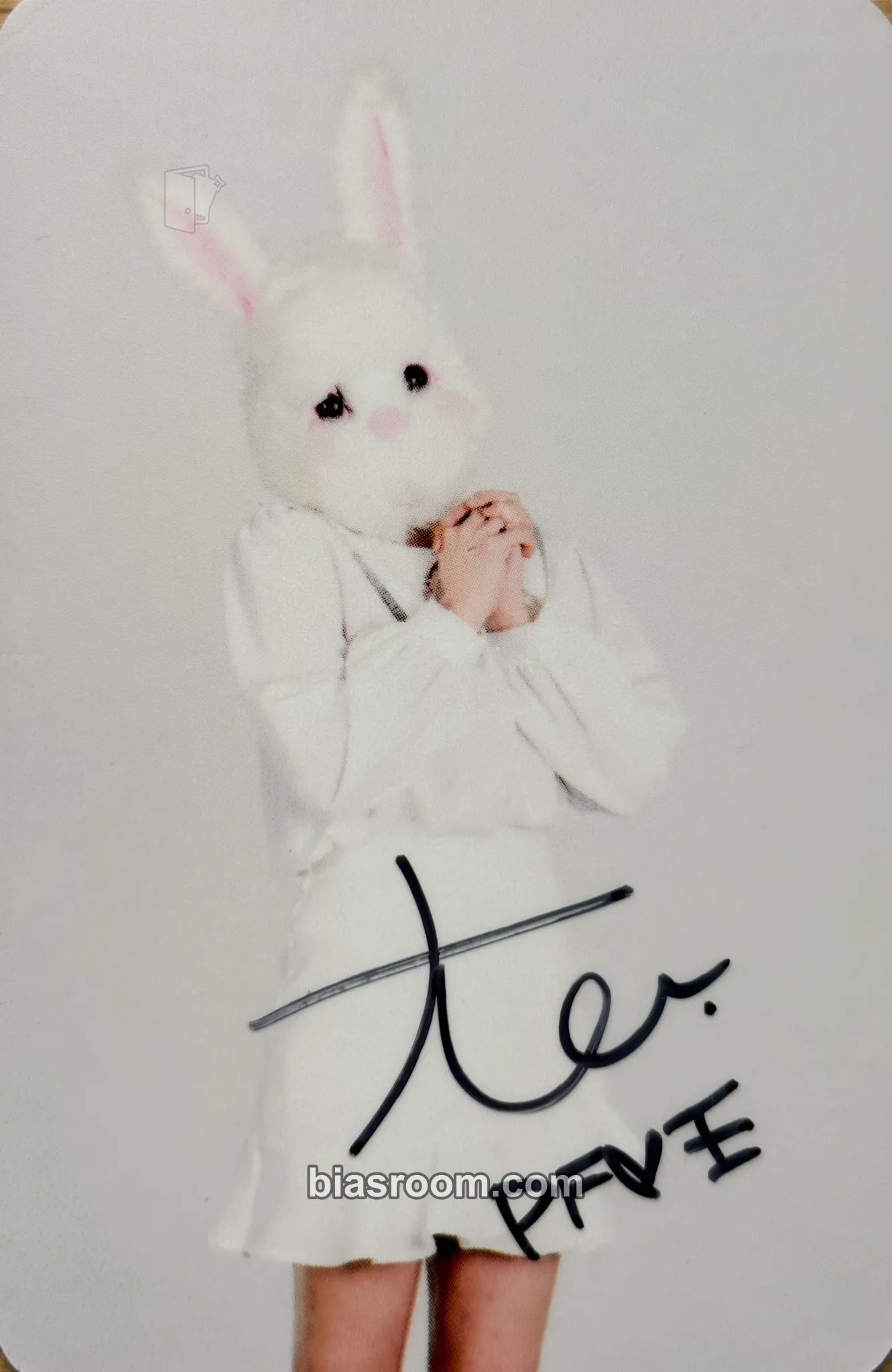Daewang Luvit! All Your Fantasy Photobook Photocard - PinkFantasy - PinkFantasy K-pop photocard